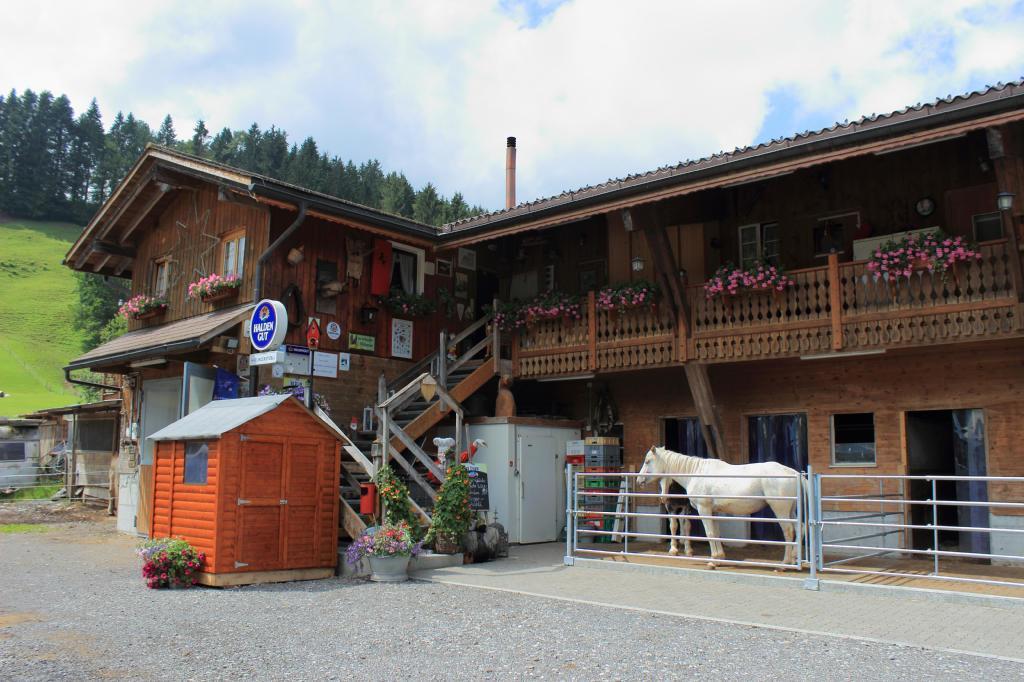 Villa Haflingerhof Frühboden Egg Exterior foto